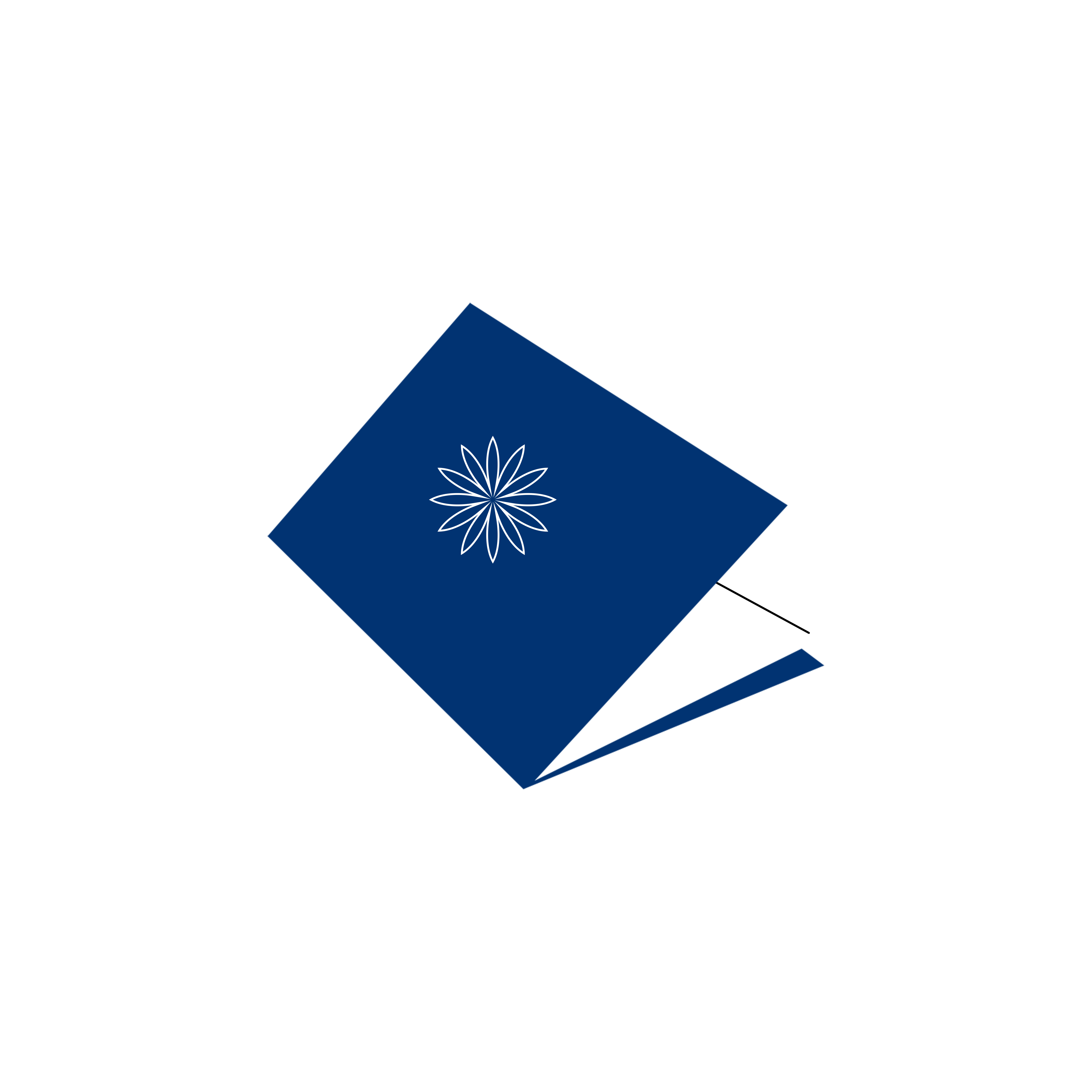 Promoção de iniciativas de empregabilidade e de geração de renda para pessoas, grupos e comunidades vulneráveis