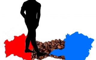 ITD mobiliza municípios baianos de residência de pessoas que frequentemente migram para trabalhar nas colheitas de café em Minas Gerais para integrarem o Programa CAFÉ